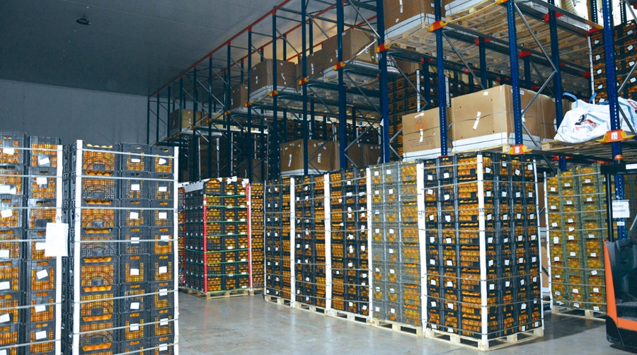Royal Reefer ampl&iacute;a sus servicios de transporte terrestre potenciando el reefer y el convencional