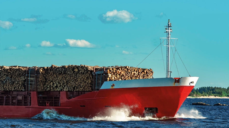 Contenedores, a la cabeza