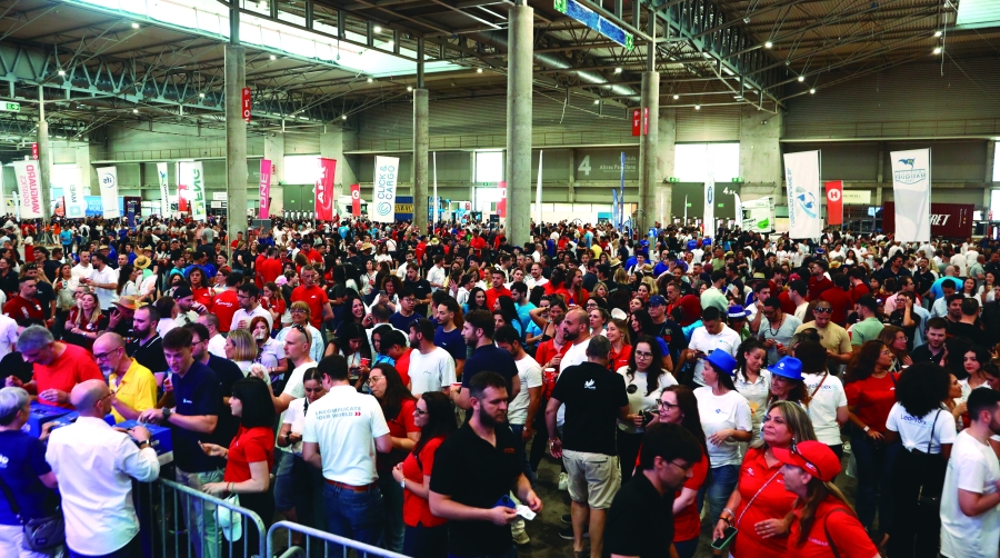 Más de 6.200 participantes participaron en la edición del año pasado.