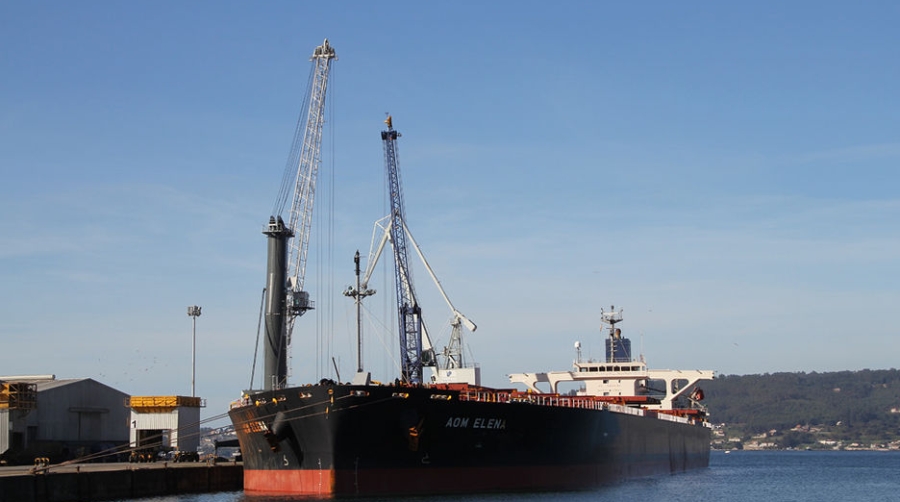 Un granelero de 254 metros de eslora escala en el Puerto de Mar&iacute;n