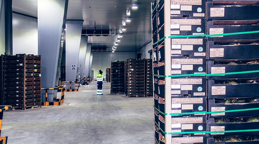 SAM Algeciras obtiene el certificado IFS Logistic