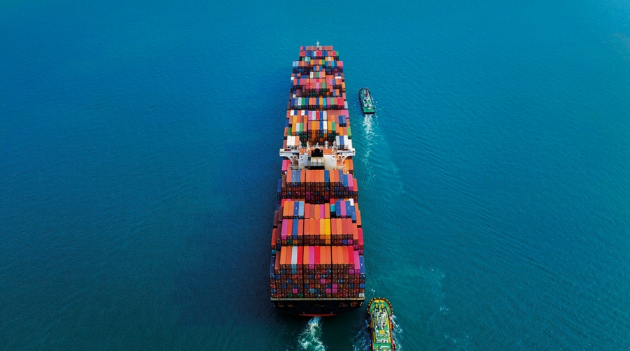 Cuesti&oacute;n de supervivencia