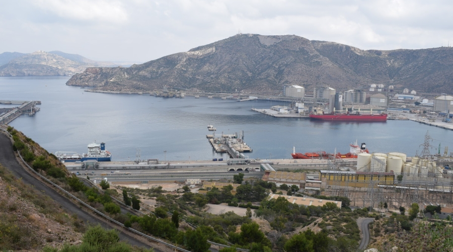 La AP de Cartagena es nombrada&nbsp;socio honorario de ALIS