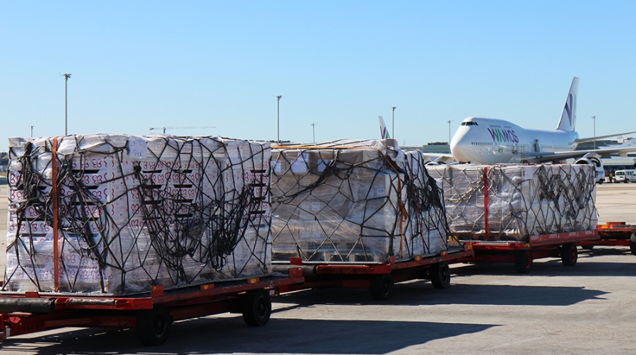 FETEIA solicita a IATA el aplazamiento de los pagos al CASS