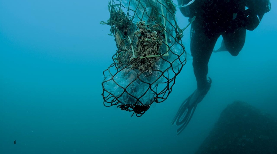 60 voluntarios, entre buceadores certificados y personal en tierra, han trabajado juntos para retirar 60 Kg de residuos del entorno marino y costero.