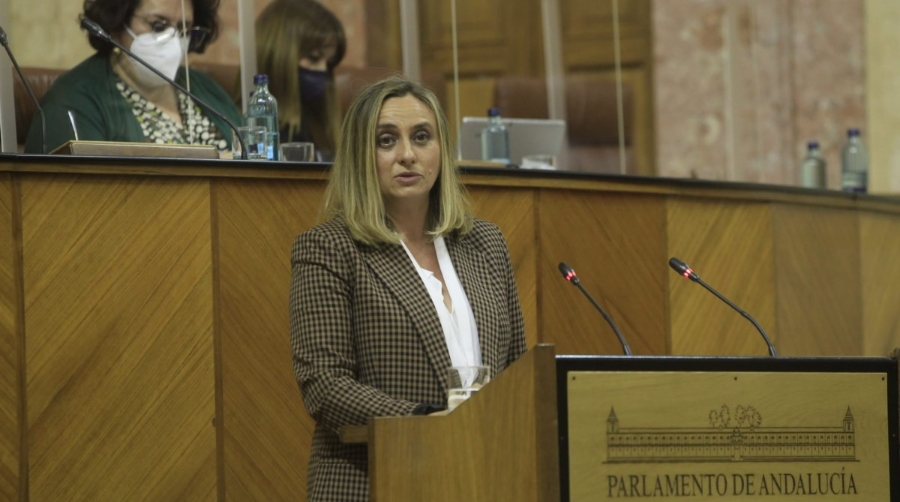 Andaluc&iacute;a exige al Gobierno agilizar las conexiones ferroviarias con los puertos