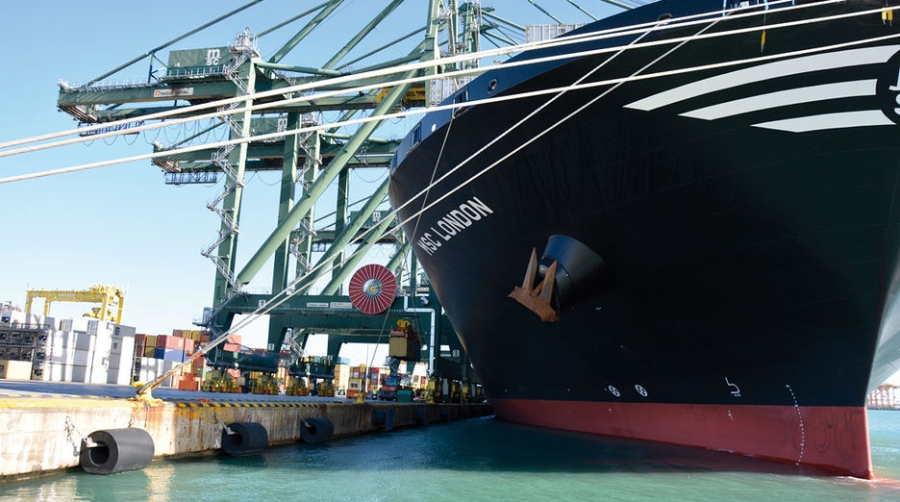 MSC lanza un nuevo servicio desde el Puerto de Valencia con Australia