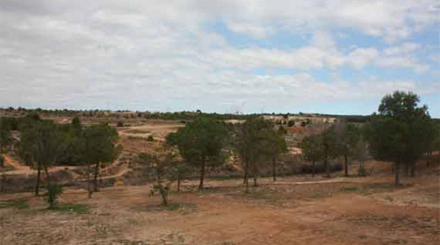 Paterna pone fin a su Zona Franca &quot;porque es un proyecto virtual, inexistente y fracasado&quot;