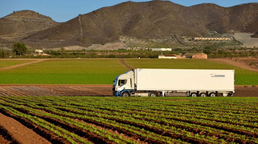 Grupo Disfrimur incrementa su flota y supera las 1.000 unidades