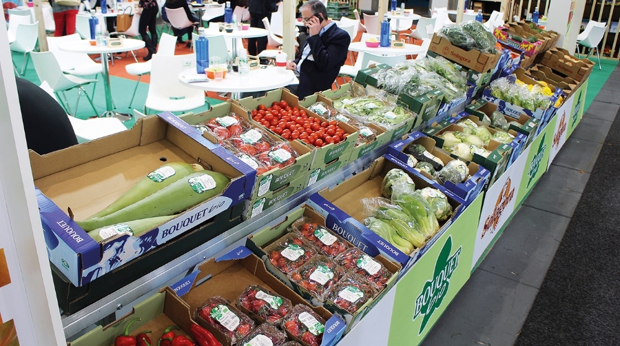 La logística hortofrutícola vive una transformación profunda donde la calidad del producto sigue siendo esencial, pero ya no suficiente.