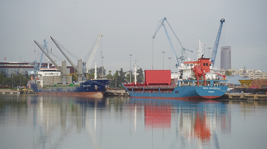 El tráfico del Puerto de Sevilla creció un 3,43% en 2025.