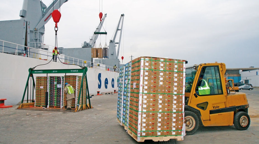 M&aacute;s reefer para m&aacute;s carga