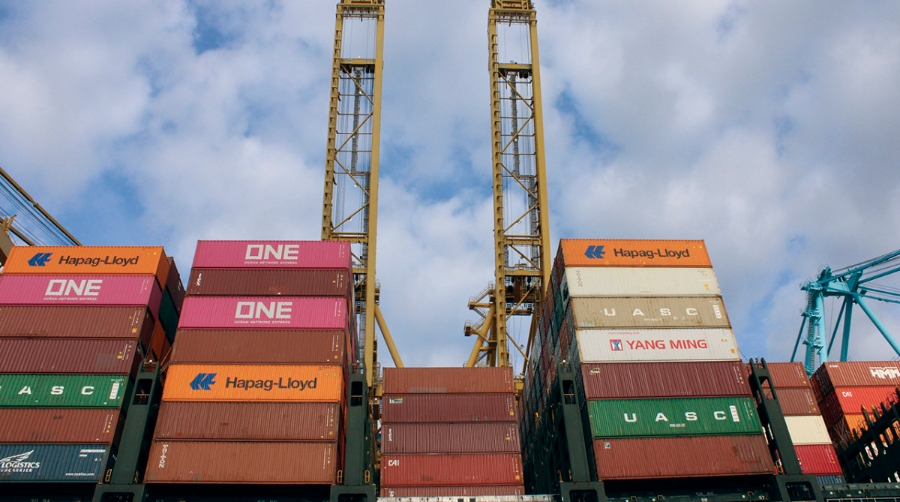 NEUTRALES: la &ldquo;mejor opci&oacute;n&rdquo; ante una supply chain en constante movimiento