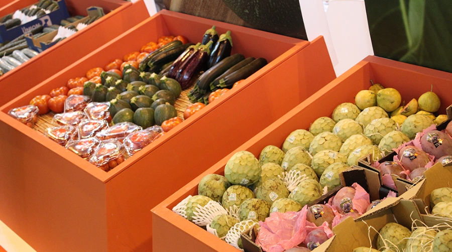 Espa&ntilde;a export&oacute; 7,2 millones de toneladas de frutas y hortalizas en el primer semestre