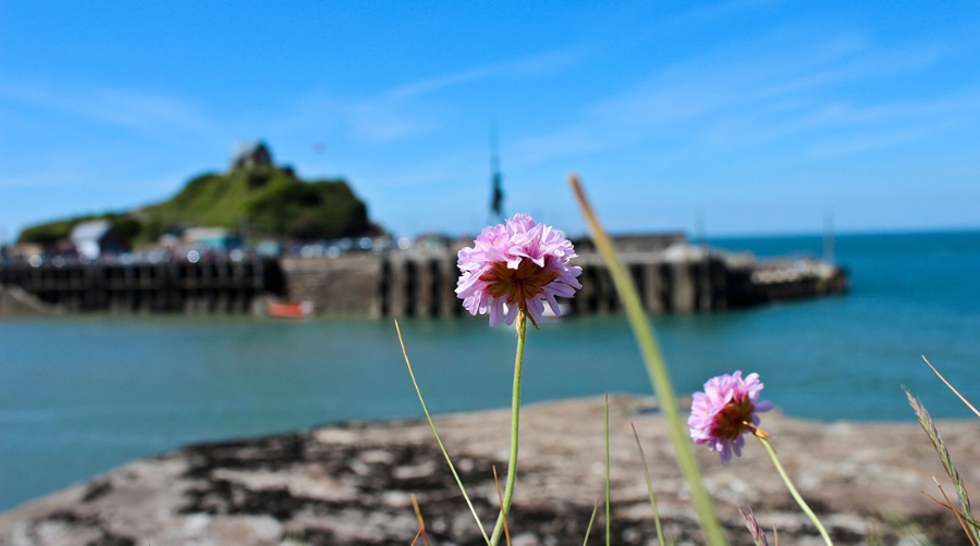 Puerto y ciudad, &iquest;hay relaci&oacute;n m&aacute;s simbi&oacute;tica?