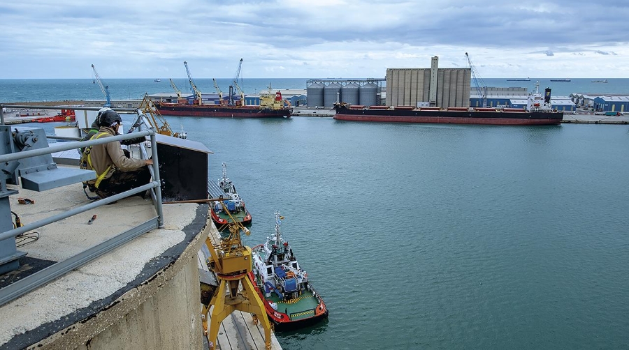 Port Tarragona instala una caja nido para proteger al halcón peregrino