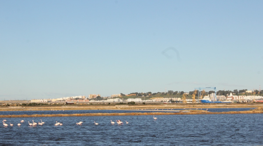 El Puerto de Huelva celebrar&aacute; las I Jornadas de Sostenibilidad Ambiental y Gesti&oacute;n Portuaria en octubre.