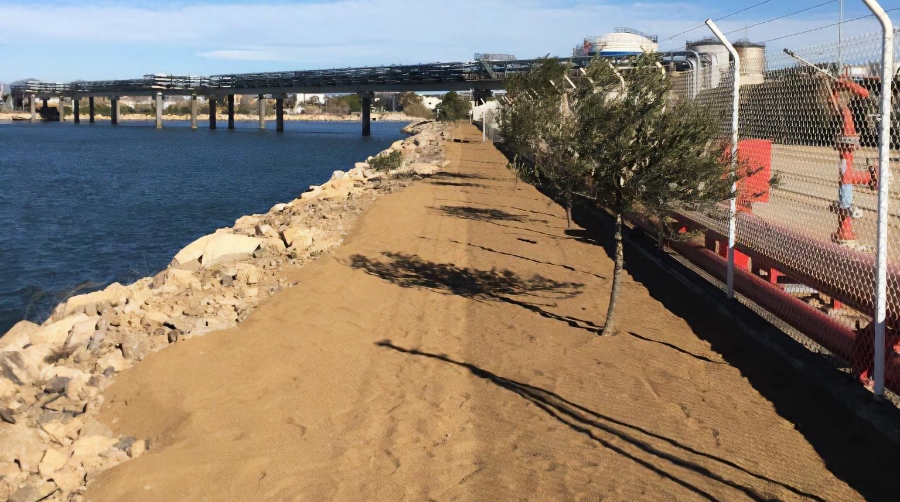 Port Tarragona instala una plataforma de sablón para la gaviota Audouin