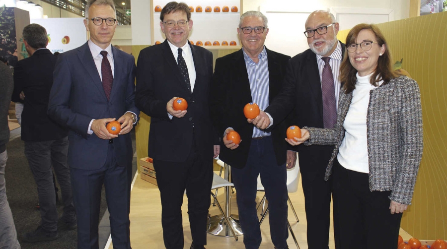 La Generalitat Valenciana defiende la creaci&oacute;n de un Observatorio de frutas y hortalizas en el seno de la UE