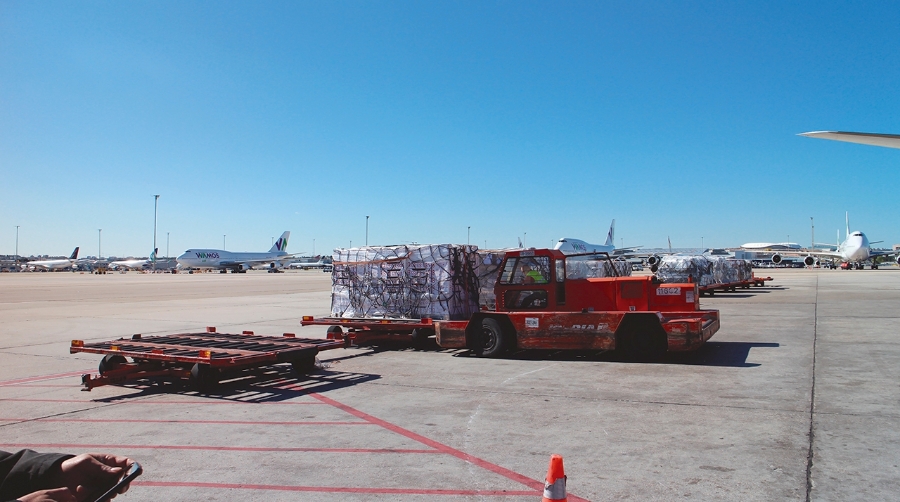 La carga aérea arranca sólida 2026 con Zaragoza y Barcelona creciendo a doble dígito