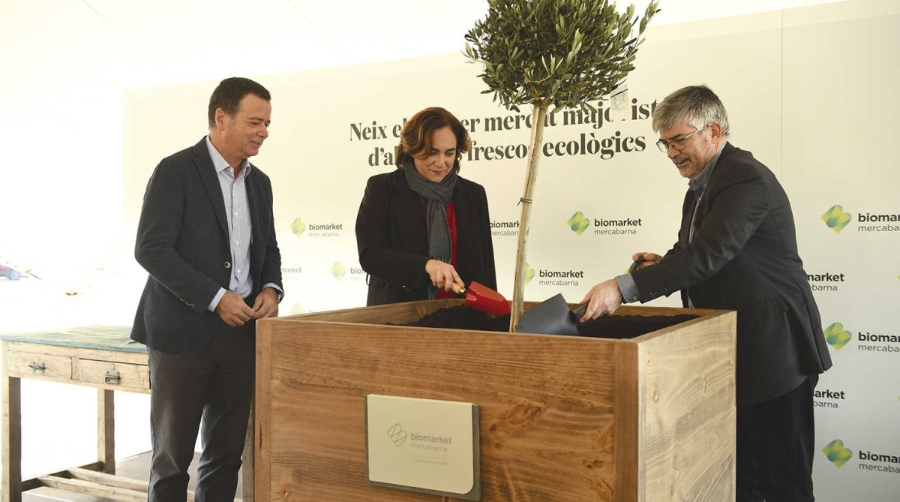 El Cl&uacute;ster Alimentario Mercabarna-Barcelona prepara su participaci&oacute;n en Fruit Logistica