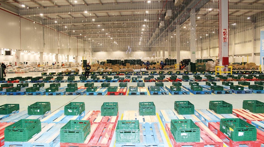 España exportó 13.090.715 toneladas de frutas y hortalizas el pasado año. Foto Alba Tejera.