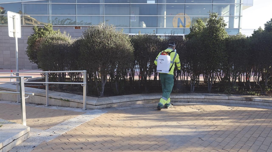 La intervención de control de mosquitos forma parte de los esfuerzos del Puerto de Castellón para colaborar activamente en la mejora del entorno urbano.