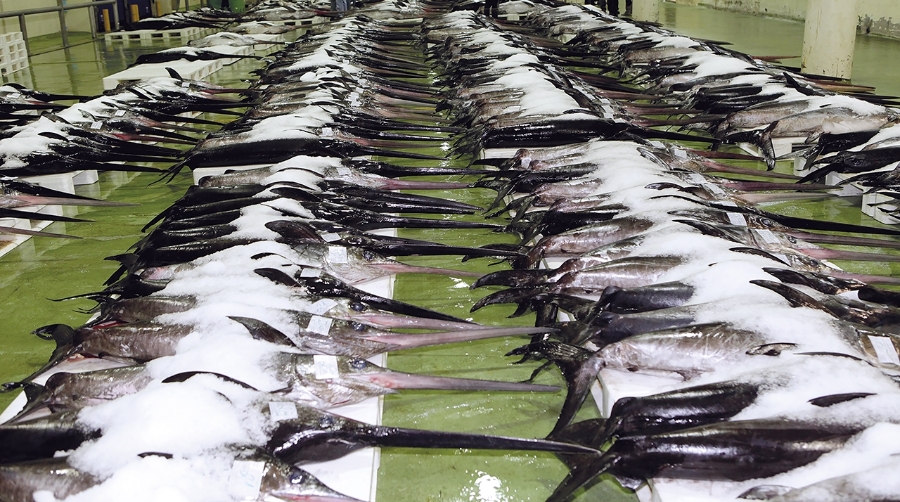 El CGAA reclama corregir las deficiencias en el control de importaciones de productos pesqueros