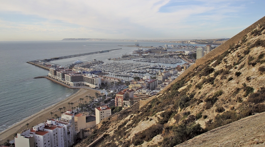 El 19% de los proyectos comerciales están avalados por la Autoridad Portuaria de Alicante.
