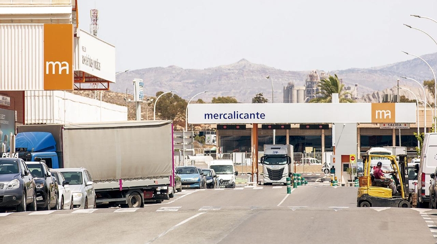 Durante el ejercicio de 2024, Mercalicante tramitó 73,5 millones de kilos de mercancías.