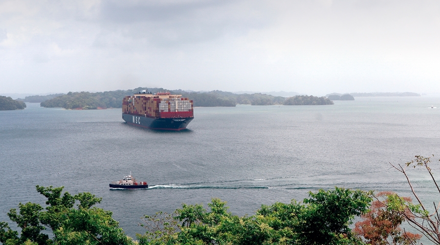 El “MSC Bianca Silvia” aguarda en el lago Gatún para acceder a las esclusas de Agua Clara en direccion norte. Foto J.P..