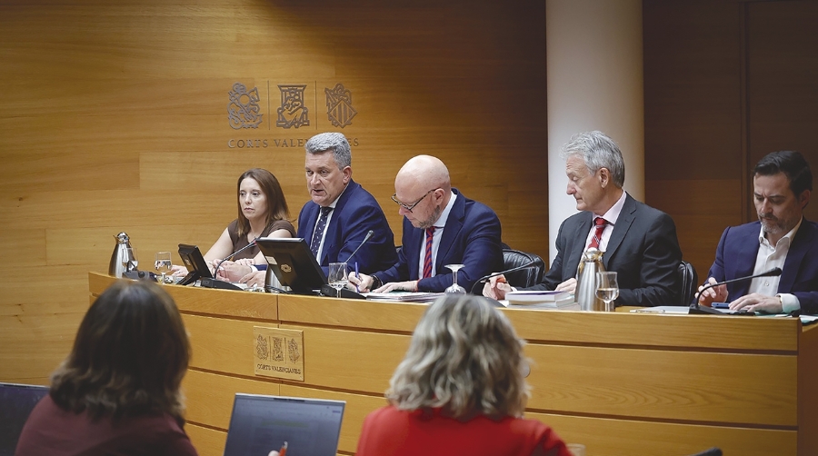 Un momento de la comparecencia de Martínez Mus esta tarde en Les Corts.