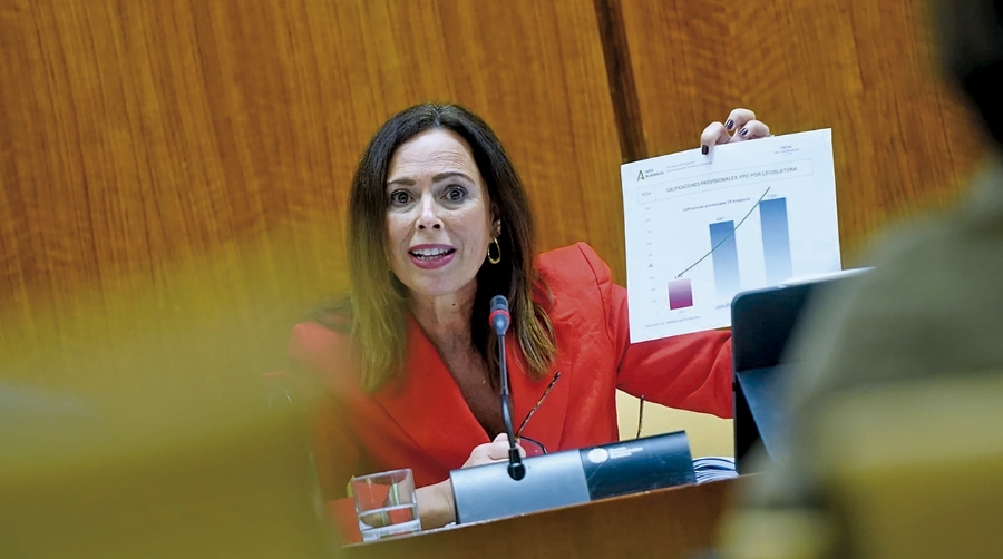 Rocío Díaz, consejera de Fomento, Articulación del Territorio y Vivienda, en la comparecencia para explicar los presupuestos de su departamento.