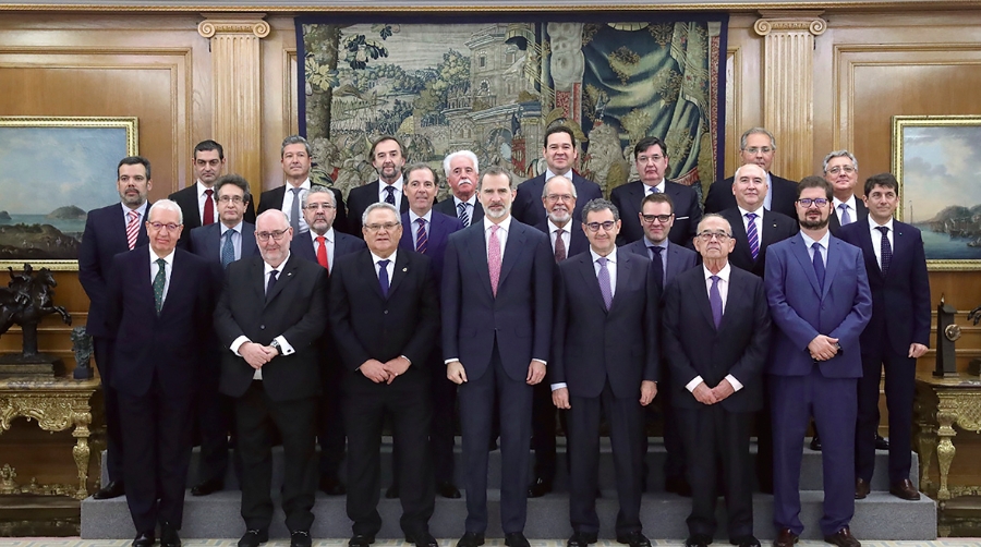 El Rey recibe en audiencia a CETM