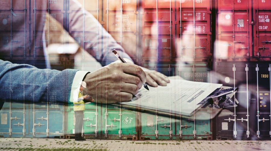 <i>Y sin mi BL, ¿qué hago?</i>