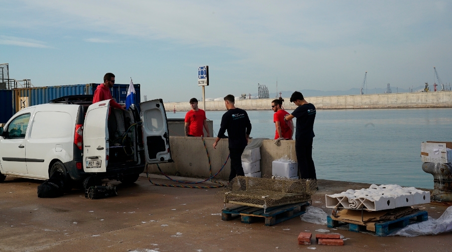 PortCastelló impulsa la vida marina en sus aguas