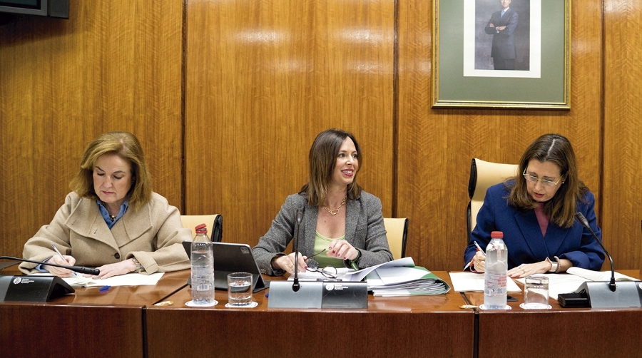 La consejera de Fomento, Rocío Díaz, ha avanzado en comisión parlamentaria que están preparando la documentación para la aprobación definitiva del plan.