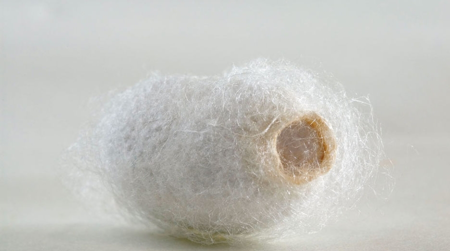 Los extremos de la nueva Ruta de la Seda