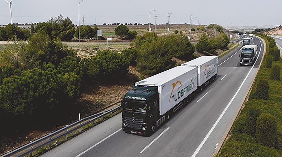 Everwood Capital adquiere Tudefrigo y la integra con Transportes Cruz