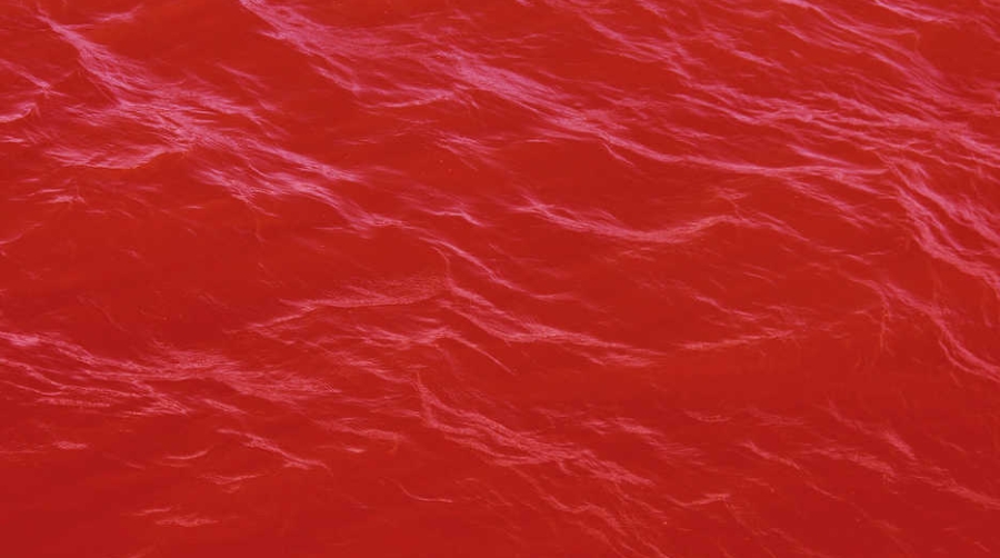 En este trabajo se podr&aacute; contemplar un mar de colores irreales que nos lleva a pensar en nuevas realidades.