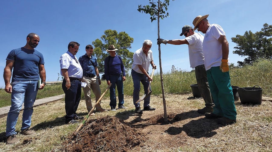 Espai Natzaret incorporará un mirador al mar