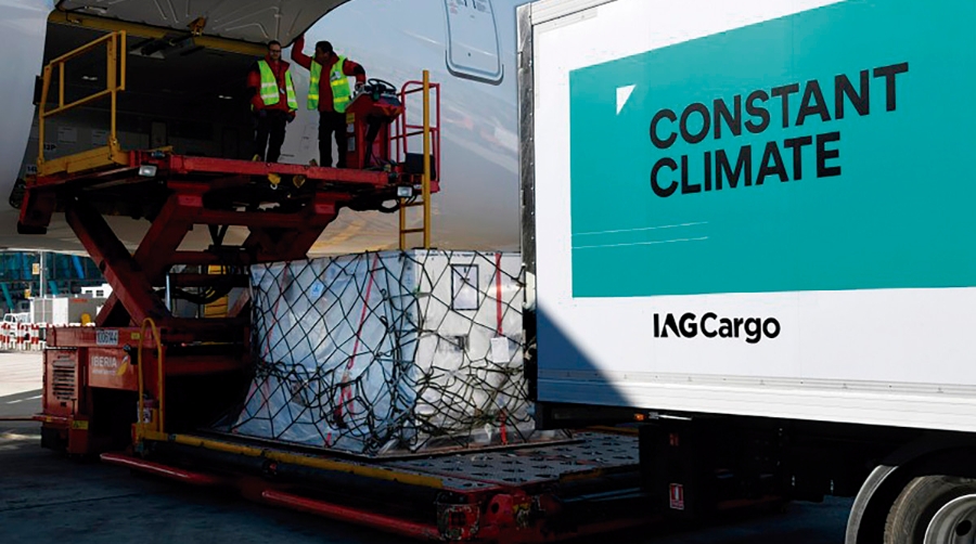 El Brexit enfila su desenlace definitivo con 11 meses de normalidad transitoria para la carga