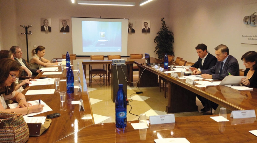 Cierval presenta el proyecto europeo Co-Efficient en su Comisi&oacute;n de Relaciones Internacionales