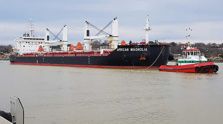El &ldquo;African Magnolia&rdquo; es uno de los mayores buques en atracar jam&aacute;s en el puerto vascofranc&eacute;s de Baiona.
