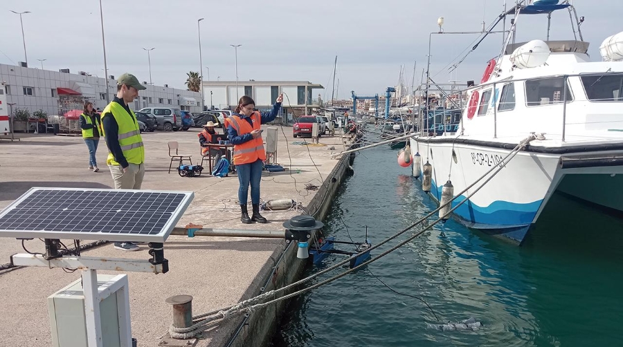Los robots se han usado para supervisar las estructuras instaladas en noviembre destinadas a la renaturalización del área portuaria.