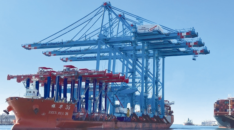 Las grúas han llegado montadas sobre la cubierta del barco desde la fábrica en China.