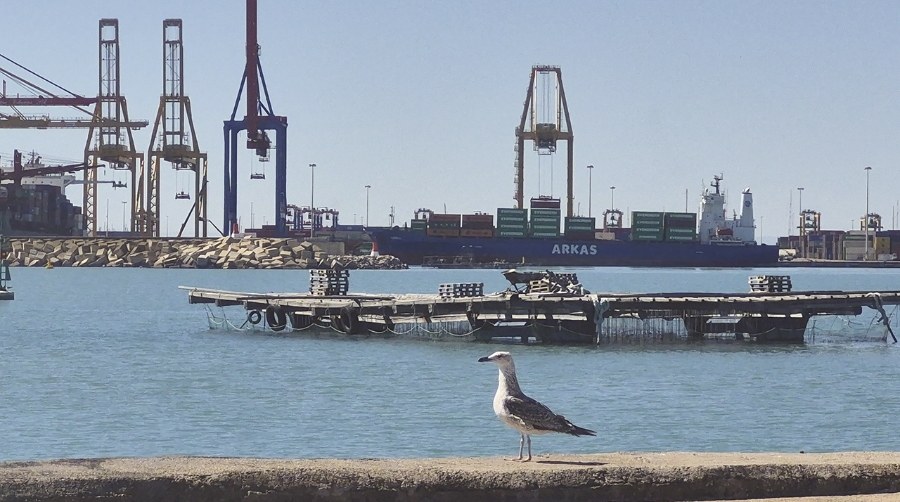 Las empresas de Ecoport II, grupo que lidera Valenciaport, redujeron sus consumos e impulsaron las energías alternativas en 2025.