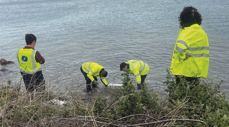 Un momento de la instalación del material de prueba en la Dársena Sur del Puerto de Castellón.