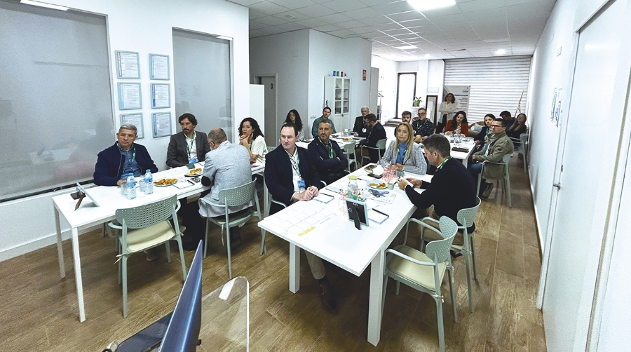 El focus group se ha centrado en recopilar las opiniones de las empresas.