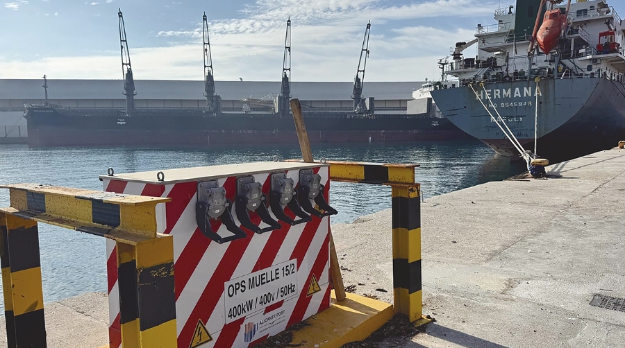 Muelles de graneles con tres de los buques el pasado viernes.